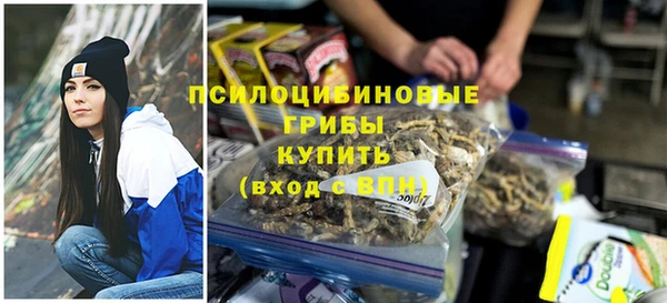 дживик Белоозёрский